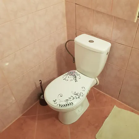 Apartman Piestany * 皮耶什佳尼